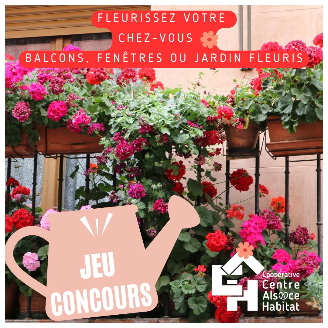Jeu concours Balcons et fenêtres fleuris