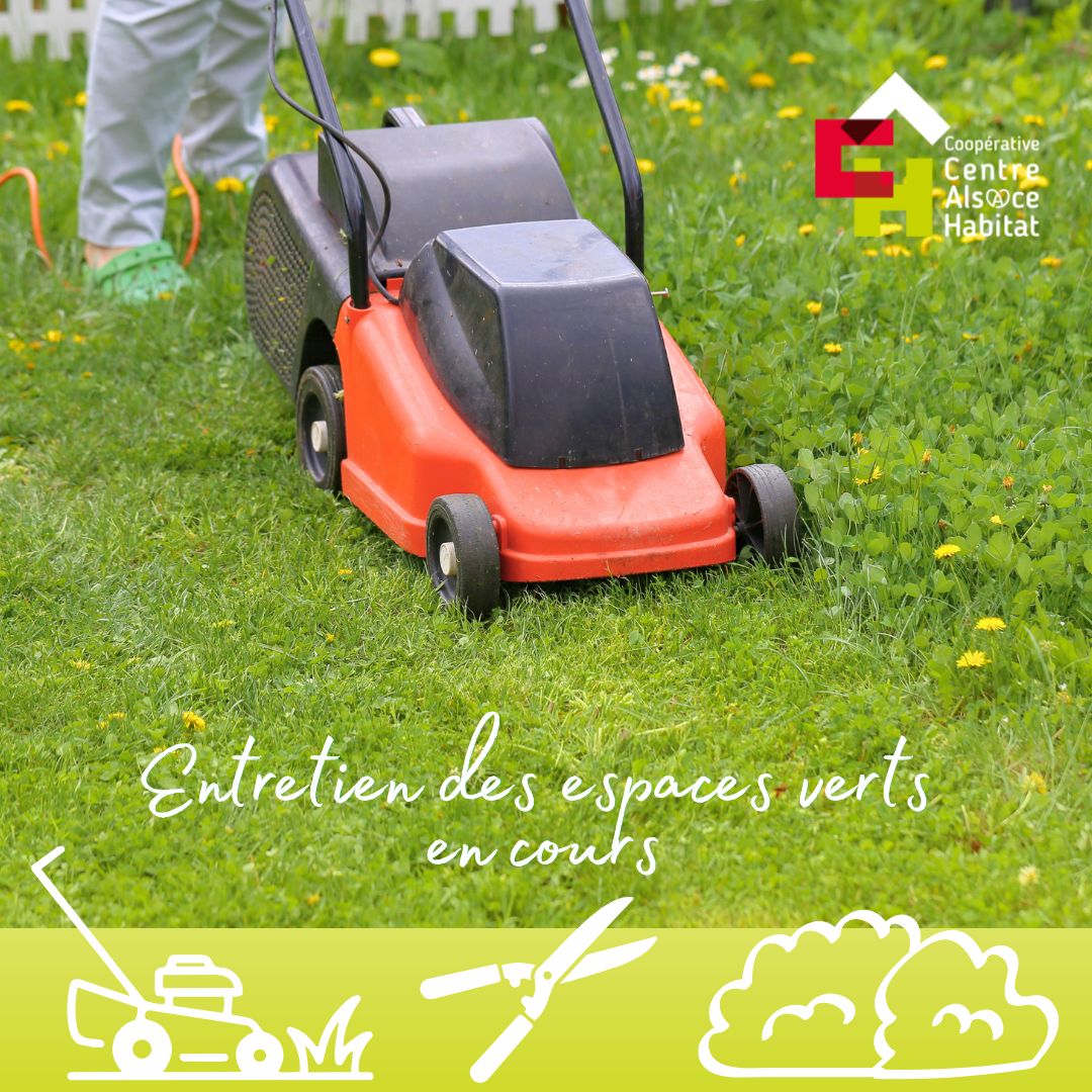 entretien espaces verts {{brizy_dc_image_alt imageSrc=