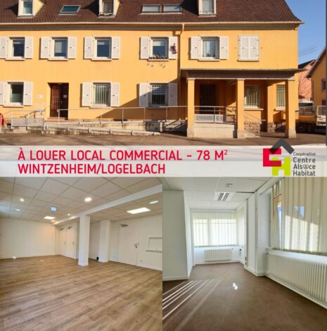 Location local commercial Wintzenheim