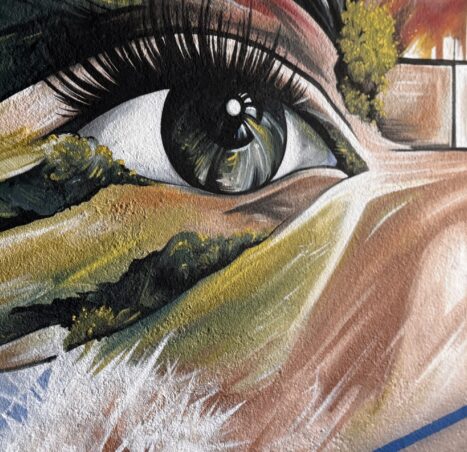 Fresque murale artistique et végétale à Kaysersberg