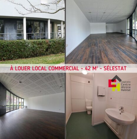 Location local commercial Sélestat