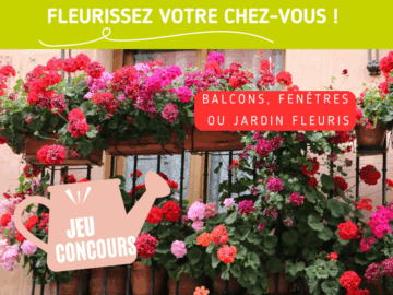 Jeu concours balcons fleuris